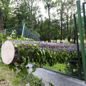 Nevrijeme u Zagrebu