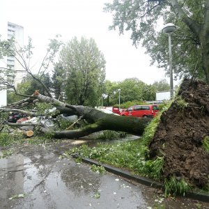 Razbijeni automobili u Sopotu