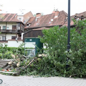 Srušeno stablo na javni WC u Cesarčevoj