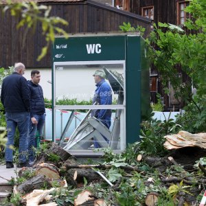 Srušeno stablo na javni WC u Cesarčevoj