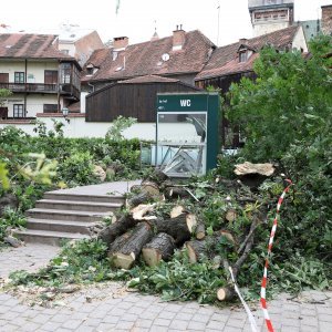 Srušeno stablo na javni WC u Cesarčevoj