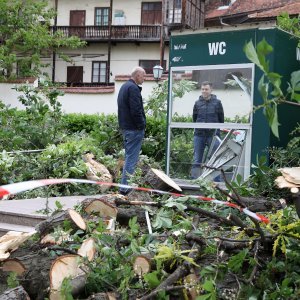 Srušeno stablo na javni WC u Cesarčevoj