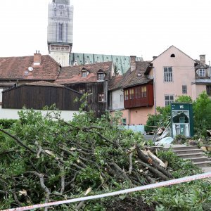 Srušeno stablo na javni WC u Cesarčevoj