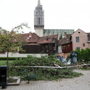 Srušeno stablo na javni WC u Cesarčevoj