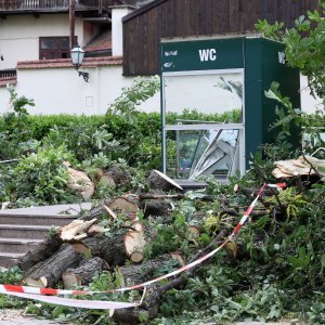 Srušeno stablo na javni WC u Cesarčevoj