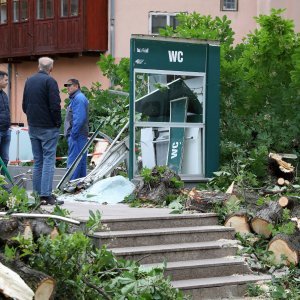 Srušeno stablo na javni WC u Cesarčevoj