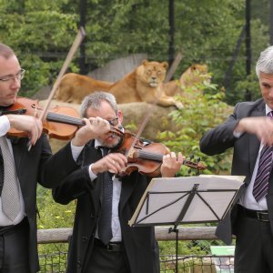 Zagrebački solisti u Zoološkom vrtu