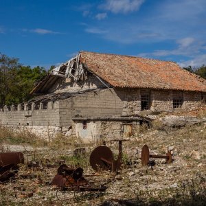 Goli otok