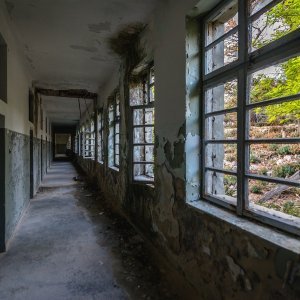 Goli otok