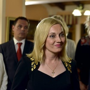 Izborni stožer kandidatkinje na EU izborima Marijane Petir