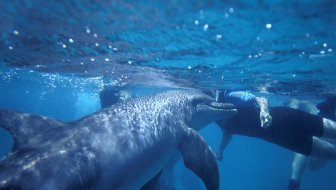 ZVUČI KAO SF, ALI NIJE