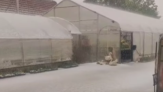 NAPRAVILA JE ŠTETU