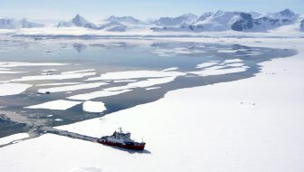 HOĆE LI SAD POŽALITI