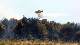 hektari pod vatrom