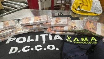 zajednička akcija