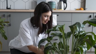 NADA IPAK POSTOJI