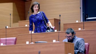 HDZ vs. Dalija Orešković