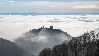 Činjenice vs. mitovi