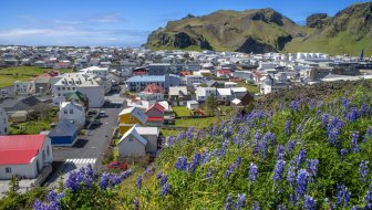 SURADNJA S ANTHROPICOM