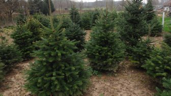 NELOJALNA KONKURENCIJA