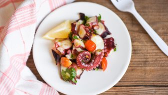 SALADA DE POLVO