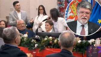 šešelj, brnabić...