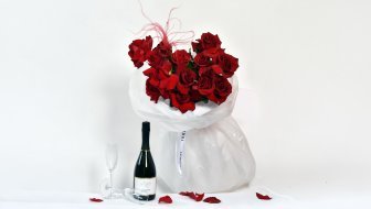 ostavljaju snažan prvi dojam