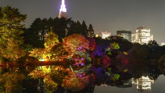 NOVA OPSESIJA na TIKTOKu