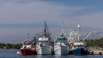 problemi u ribarstvu