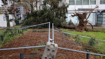 STIŽU MOBILNI TIMOVI