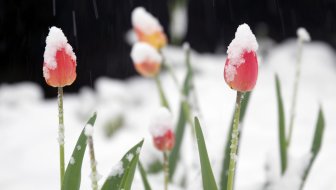 BEZ VELIKIH TROŠKOVA