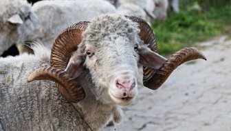 SITUACIJA NIJE POD KONTROLOM