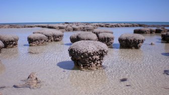 NEVJEROJATNO OTKRIĆE