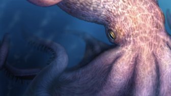 OCEANSKA 'ČUDOVIŠTA'