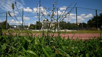 pronašao zlatne poluge