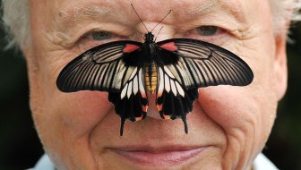 sir david attenborough