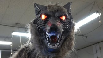 MONSTER WOLF