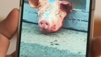 akcija u parizu