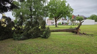 NOVa promjena