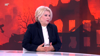 politički dilentatizam