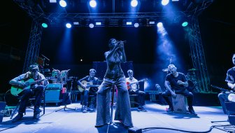 koncert na mihovilu