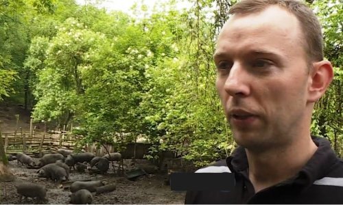 U ovome smo dvaput jači od Europe: Ne samo da nisu otišli, nego i popravljaju 'krvnu sliku'