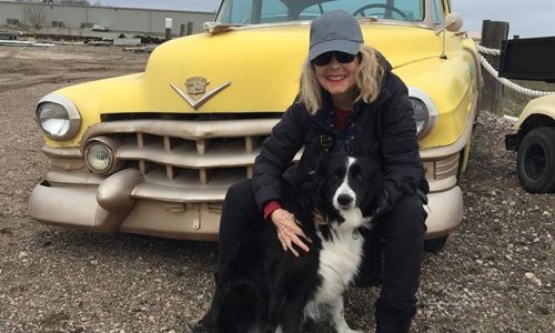 Animafest: Retrospektiva i izložba Suzan Pitt, dobitnice Nagrade za životno djelo