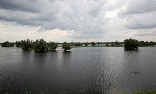 Pogledajte kako su Drava i Dunav pretvorili Kopački rit u veliko vodeno prostranstvo