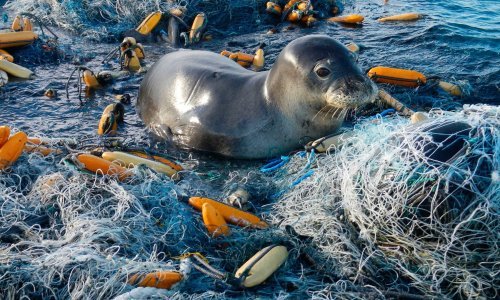 G20 se dogovorio o smanjenju onečišćenja mora plastikom