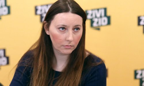 Mandatno-imunitetno povjerenstvo raspravljat će o mandatu Vladimire Palfi