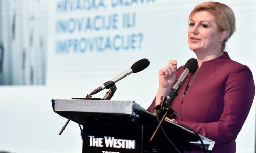 Kampanju Grabar-Kitarović vodit će župan Ivan Anušić