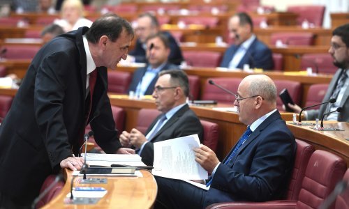 Stazić: Mogli ste iznajmiti i Jandrokovića da bude batler i Reinera da zabavlja iznajmljivače