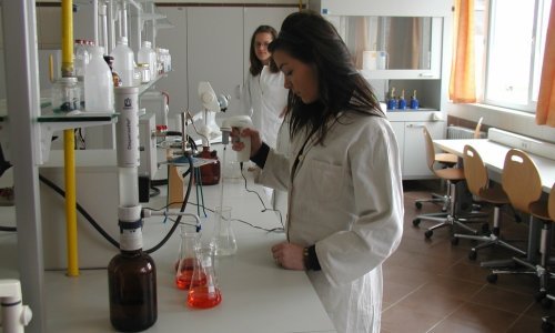 Evo kakve ocjene dobivaju hrvatski učenici i koji su im predmeti najdraži