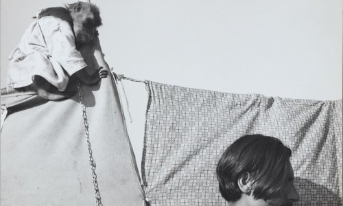 [FOTO] Velika izložba doajena hrvatske fotografije Nikole Vranića nudi preko 200 njegovih radova, pogledajte neke od najboljih